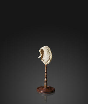 Lot 6400, Auction  113, Schwedisch, 19. Jh. Versteinerung des Innenohres eines Wals (Cetolith der Bulla ossea)