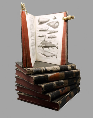 Lot 19, Auction  125, Pococke, Richard, Beschryving van het Oosten. 6 Bände. Utrecht, Paddenburg, 1776-1786. - Erste holländische Ausgabe