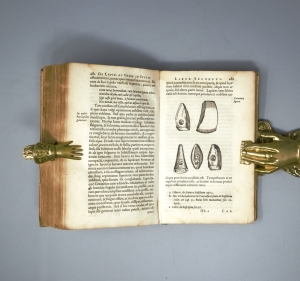 Los 332 - Boodt, Anselmus Boetius de - Gemmarum et Lapidum historia. Leiden, Johannes Maire, 1636. - Frühe Ausgabe des Werkes über Mineralien - 8 - thumb