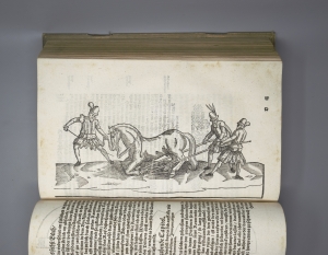 Los 740 - Grisone, Federico - Künstlicher Bericht und allerzierlichste beschreybung. Augsburg, Michael Manger für Georg Willer, 1580. - Dritte Auflage - 5 - thumb