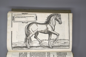 Los 740 - Grisone, Federico - Künstlicher Bericht und allerzierlichste beschreybung. Augsburg, Michael Manger für Georg Willer, 1580. - Dritte Auflage - 10 - thumb