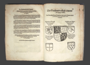 Los 774 - Rüxner, Georg - Anfang, ursprung und herkomen des Thurniers inn Teutscher nation. Simmern, H. Rodler, 1532 - Zweite Ausgabe des zuerst 1530 ebenda erschienen berühmten Turnierbuchs - 6 - thumb