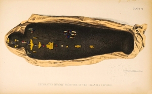Los 902 - Rhind, A. Henry - Thebes its tombs and their tenants ancient und present. London, Longman u. a., 1862. - Erste Ausgabe - 1 - thumb
