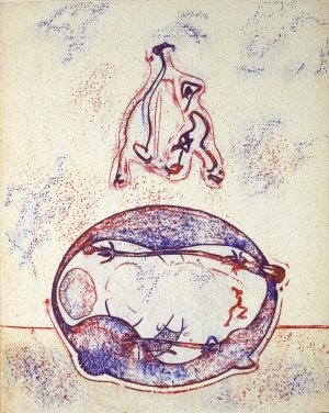 Los 3091 - Ernst, Max und Hommage à Max Ernst - Amerikanische Ausgabe. New York 1971. - 2 - thumb