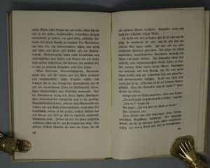 Los 3410 - Walser, Robert - Poetenleben. Frauenfeld und Leipzig, Huber, 1918 - 4 - thumb