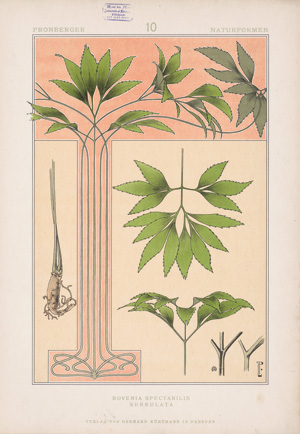 Lot 3442, Auction  125, Pronberger, Ludwig, Seltene Naturformen. Dresden, G. Kühtmann, 1901