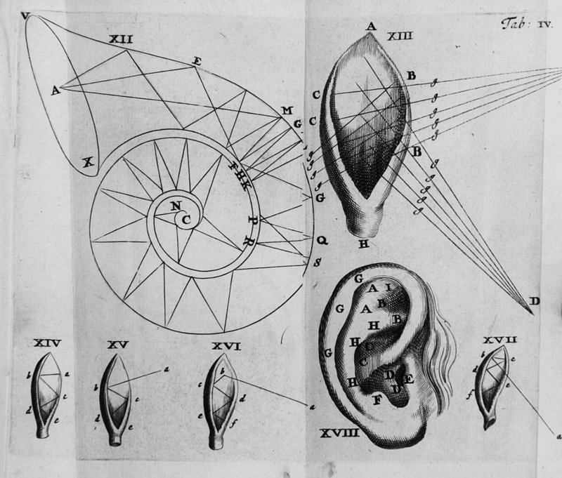 Lot 326, Auction  125, Schelhammer, Günther Christoph, De auditu liber unus. Leiden, Peter de Graaf, 1684