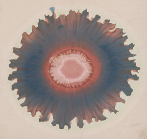 Los 352 - Runge, Friedrich Ferdinand - Der Bildungstrieb der Stoffe - 2 - thumb