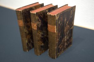 Los 363 - Bloch, Marcus E. - Ökonomische Naturgeschichte der Fische Deutschlands - 5 - thumb