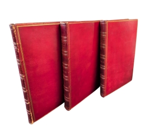 Los 372 - Levaillant, François - Histoire naturelle des oiseaux. Paris 1801-1818 - 13 - thumb