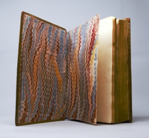 Los 374 - Merian, Maria Sibylla - Erucarum ortus - 8 - thumb