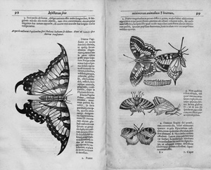 Lot 376, Auction  126, Moffet, Thomas, Insectorum sive Minimorum Animalium Theatrum