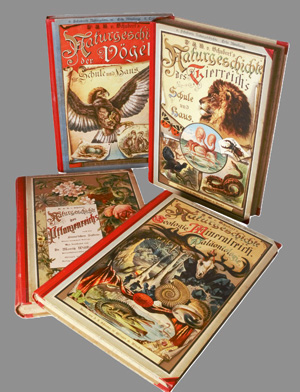 Los 384 - Schubert, G. H. - Naturgeschichte des Tier-, Pflanzen- und Mineralreichs. 4 Bände der Reihe - 0 - thumb