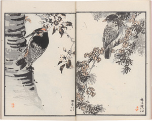Lot 601, Auction  126, Bairei, Kôno, Hykuchô gafu zokuhen (japonice: Album der 100 Vögel und Blumen)