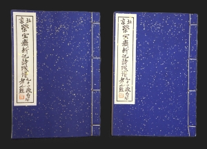 Los 666 - Qi Baishi - Rong Bao zhai xin ji shi jian pu. 2 chinesische Blockbücher  - 4 - thumb