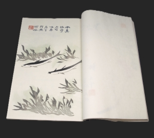 Los 666 - Qi Baishi - Rong Bao zhai xin ji shi jian pu. 2 chinesische Blockbücher  - 10 - thumb