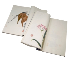 Los 666 - Qi Baishi - Rong Bao zhai xin ji shi jian pu. 2 chinesische Blockbücher  - 11 - thumb