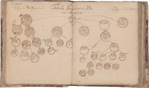Lot 1037, Auction  126, Struve, Burkhard Gotthelf, Historia Pomeraniae praelecta a Burcardo Gotthelffio Stuvio