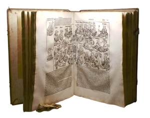 Los 1064 - Schedel, Hartmann - Das Buch der Chroniken und Geschichten. E. dt. A. - 16 - thumb