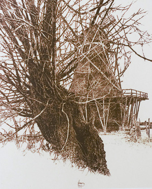 Los 3153 - Herzog, Walter - Landschaften - Werkverzeichnis der Radierungen 1983-1997 - 0 - thumb