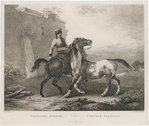 Los 5264 - Bartsch, Adam von - Ca. 79 Blatt aus dem druckgraphischen Œuvre des Künstlers - 0 - thumb