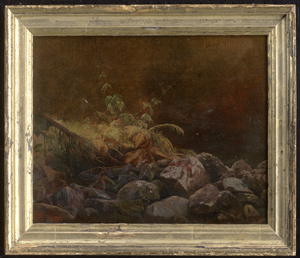 Los 6099 - Gurlitt, Louis - Farnkraut auf einem Geröllfeld in Norwegen - 1 - thumb