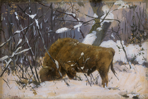 Los 6205 - Friese, Richard - Wisent im winterlichen Wald der Rominter Heide - 0 - thumb