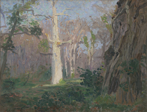 Los 6208 - Duphorn, Hugo - Vorführling im Wald von Hasbruch bei Oldenburg,  - 0 - thumb