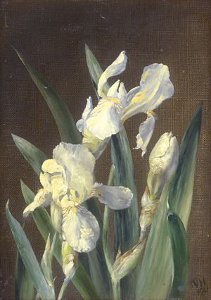 Los 6220 - Dänisch - 1901. Studie mit weißen Iris - 0 - thumb