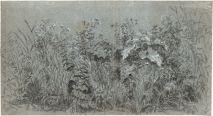 Los 6533 - Niederländisch - 17. Jh. Wiesenstück mit Gräsern und Blattgewächsen - 0 - thumb