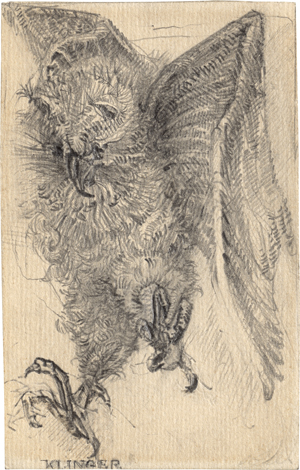 Los 6728 - Klinger, Max - zugeschrieben - Uhu im Sturzflug - 0 - thumb