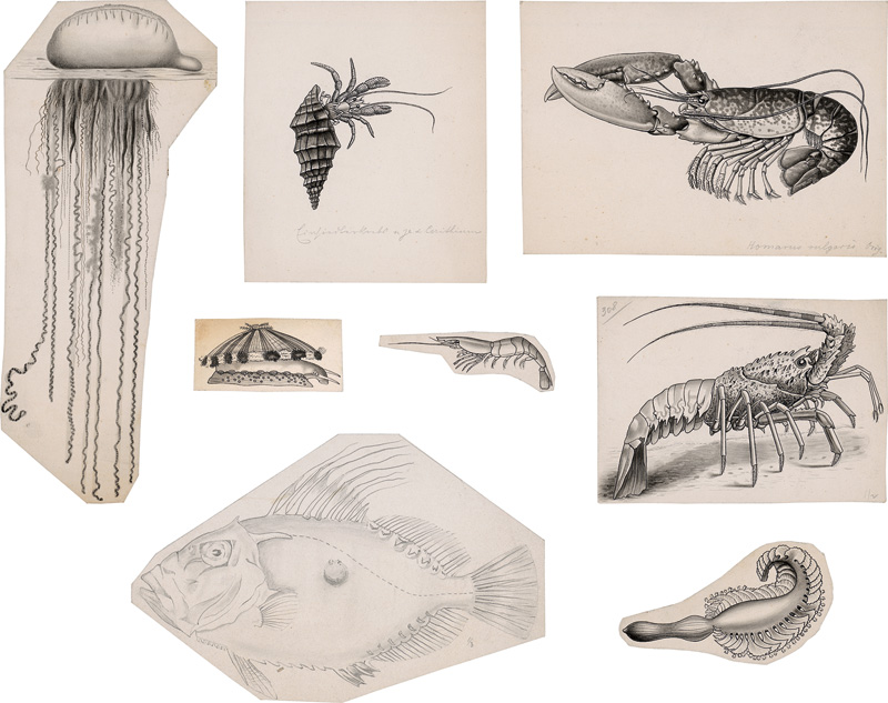 Lot 364, Auction  126, Cori, Carl Isidor, Zeichnerischer Teilnachlass