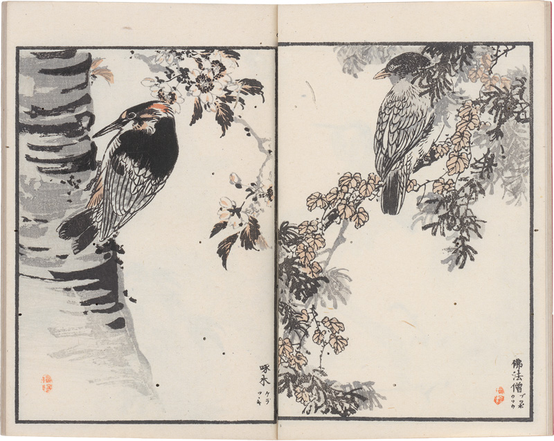 Lot 601, Auction 126, Bairei, Kôno, Hykuchô gafu zokuhen (japonice: Album der 100 Vögel und Blumen)