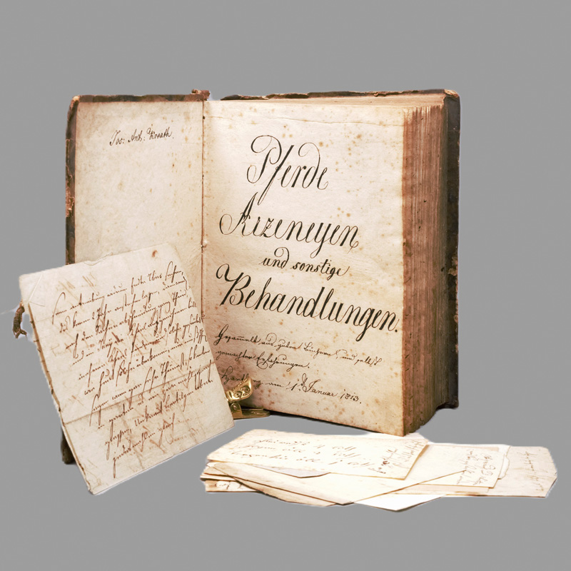 Lot 1045, Auction 126, Krooth, Joseph Anton, Pferde Arzeneyen und sonstige Behandlungen