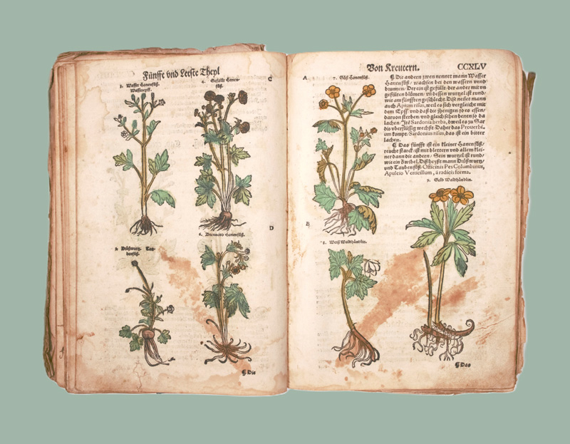 Lot 1147, Auction  126, Lonitzer, Adam, Kreuterbuch