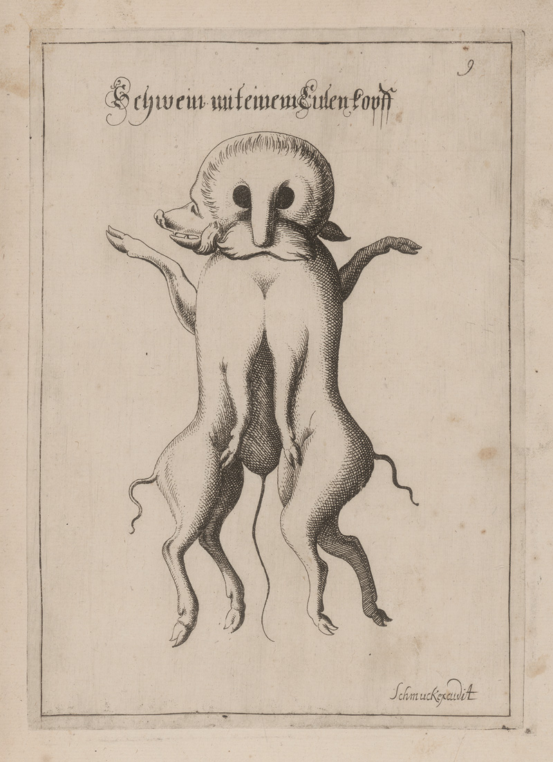 Lot 1269, Auction 126, Schmuck, Friedrich Wilhelm, Fasciculus admirandorum naturae