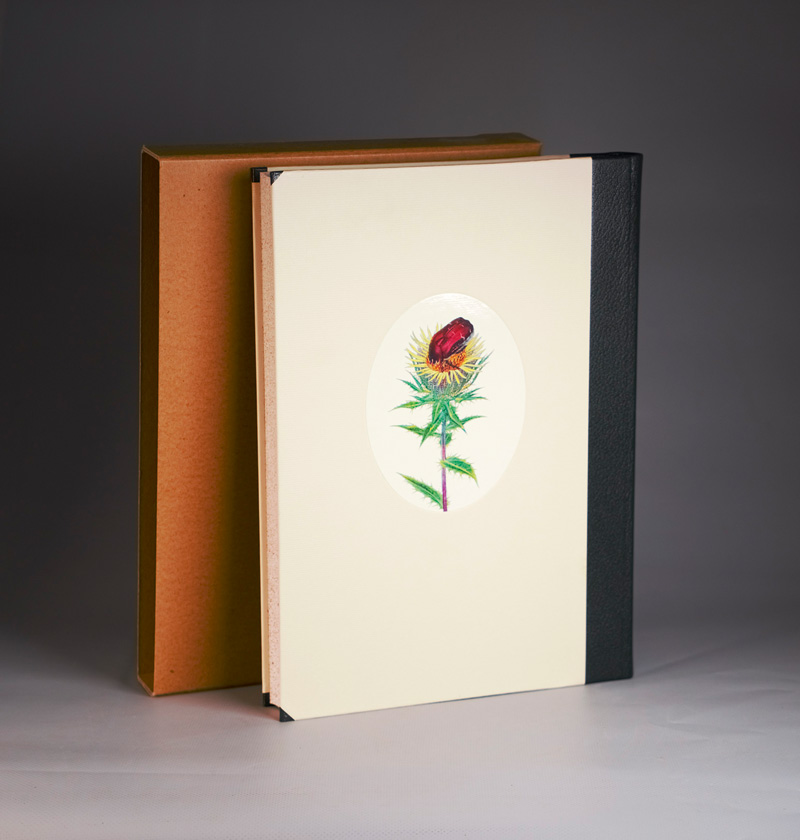 Lot 3248, Auction 126, Jünger, Ernst und Linsenmaier, Walter - Illustr., Subtile Jagden. Mit Illustrationen von W. Linsenmaier. OHalbleder. Stuttgart 1995. - 500 sign. Exemplare