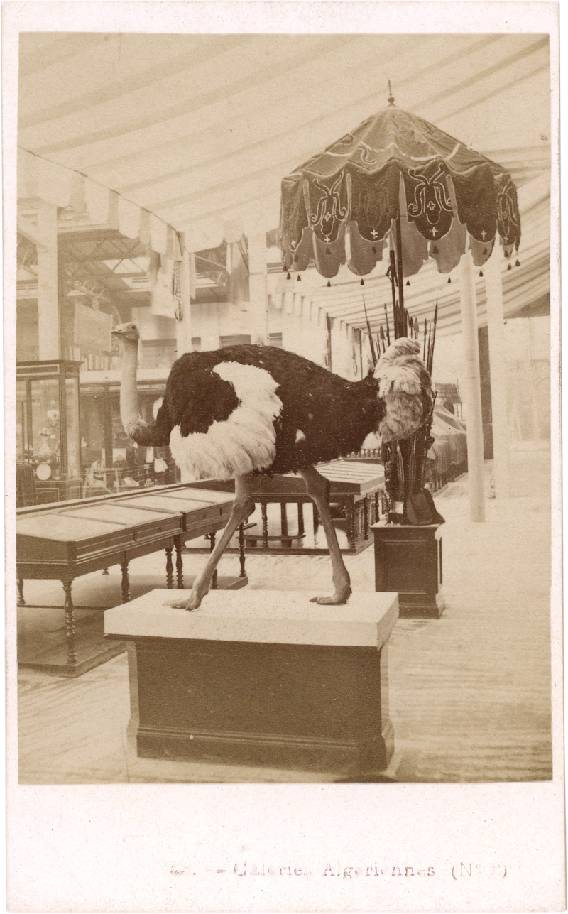 Lot 4036, Auction 126, Exposition Universelle 1867, Views of the Exposition Universelle 1867