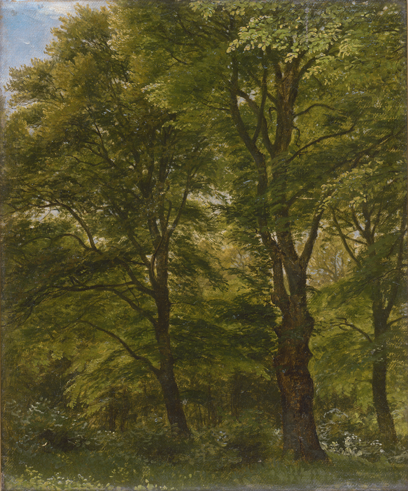 Lot 6129, Auction  126, Skovgaard, Peter Christian Thamsen, Bäume im Park von Charlottenlund.