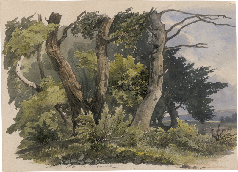 Lot 6692, Auction  126, Deutsch, 18444. Kleines Waldstück