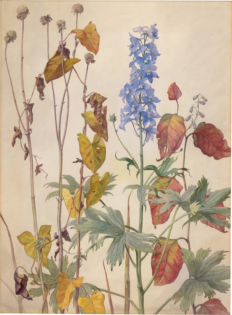 Lot 6752, Auction  126, Lindenau, Erich, Sommerblumen mit Rittersporn